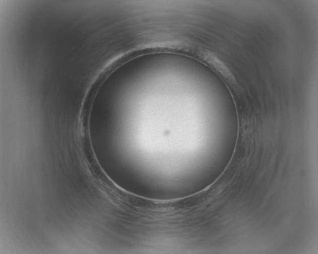 X0000074930628200609151939