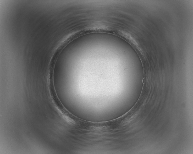 X0000074930629200609151939