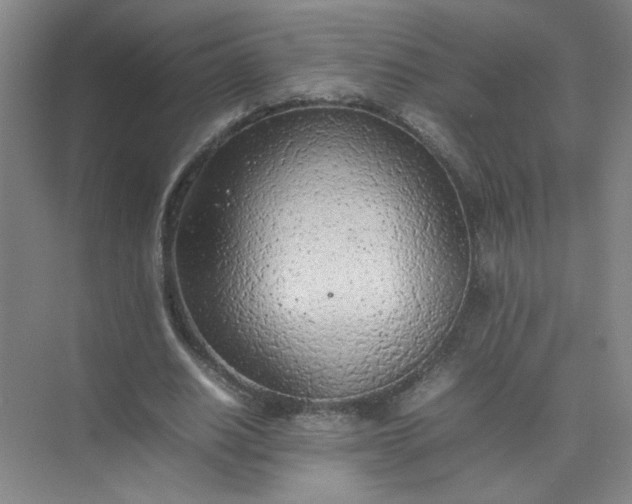 X0000074930630200609151939