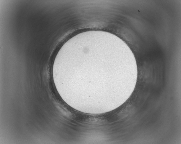 X0000074930632200609151940