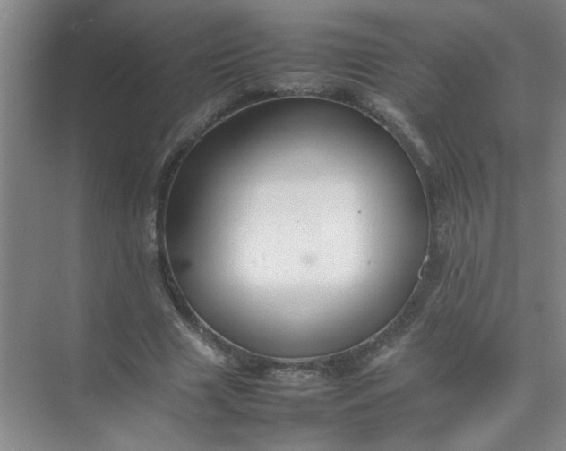 X0000074930633200609151940