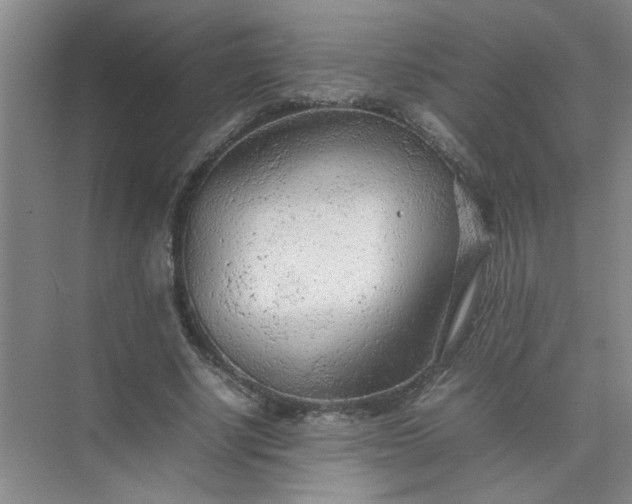 X0000074930634200609151940