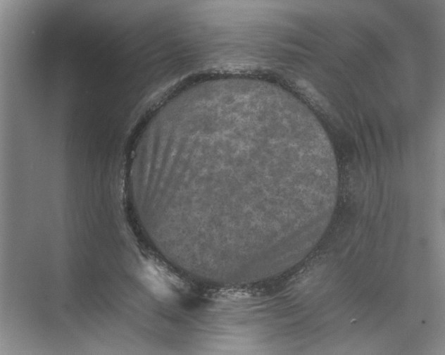 X0000074930640200609151940