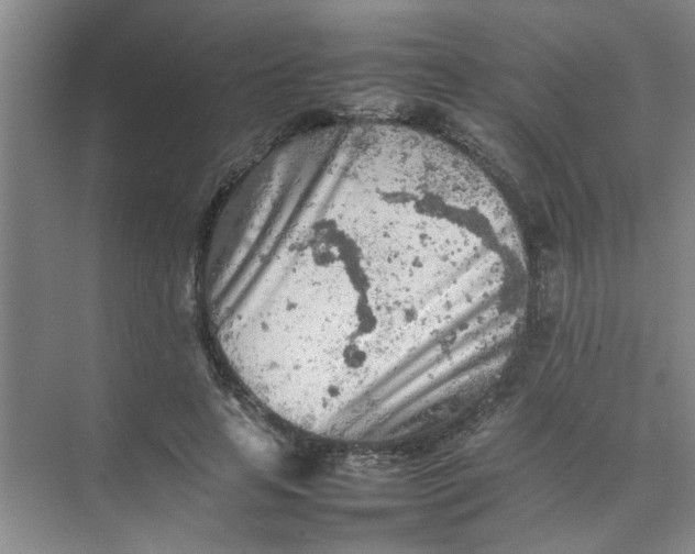 X0000074930641200609151940