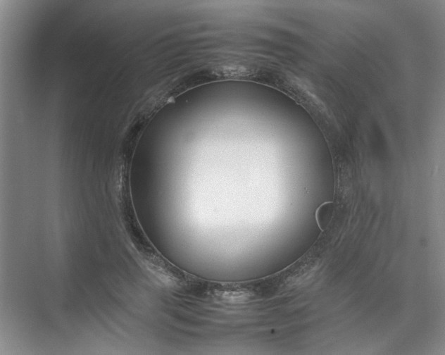 X0000074930645200609151940