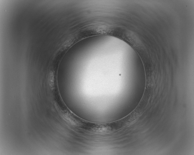 X0000074930646200609151940