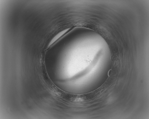 X0000074930647200609151940