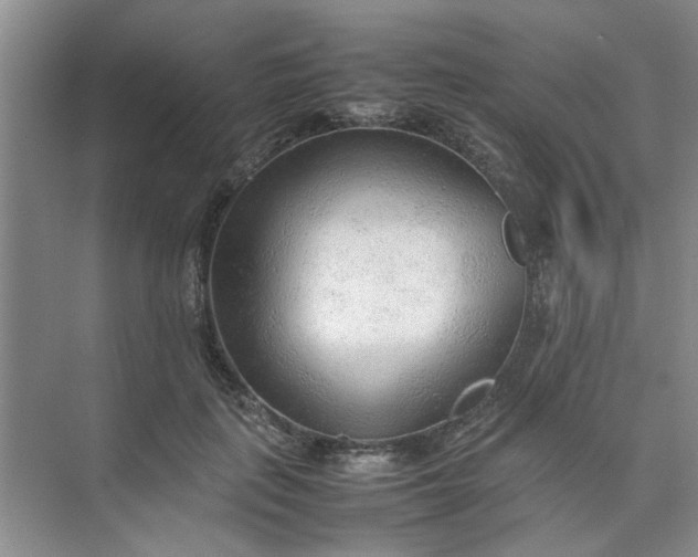 X0000074930651200609151940