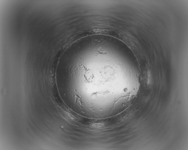 X0000074930653200609151940