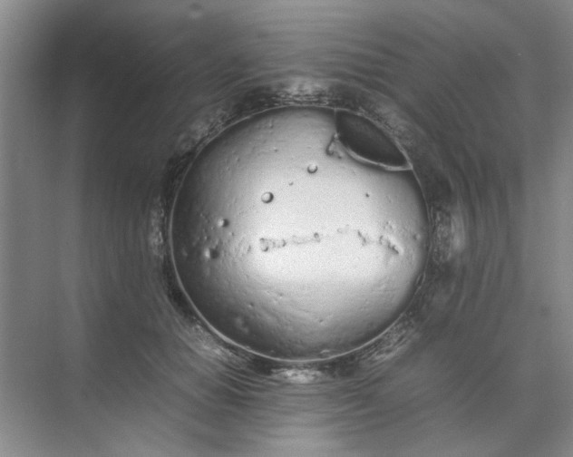 X0000074930654200609151940