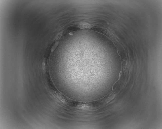 X0000074930655200609151940