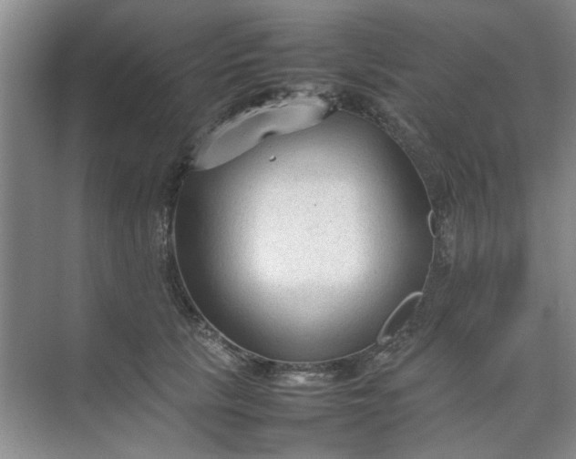 X0000074930657200609151940