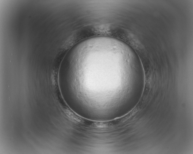 X0000074930658200609151940