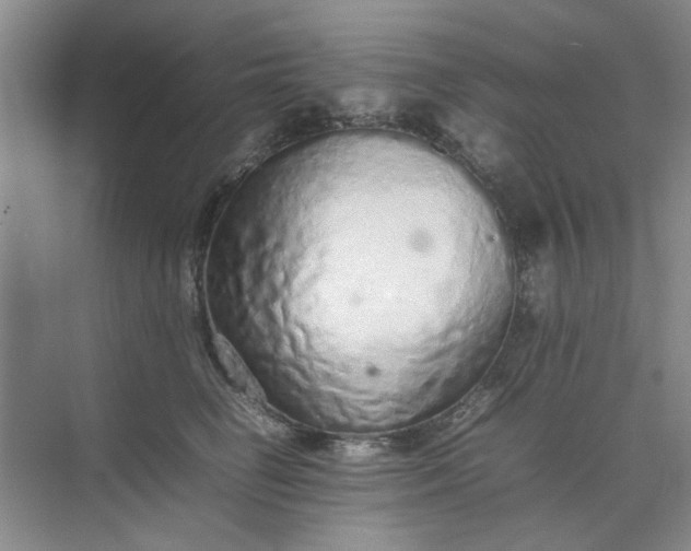 X0000074930662200609151940