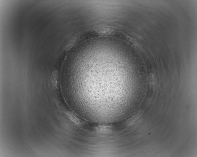 X0000074930664200609151940