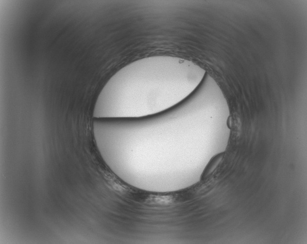 X0000074930665200609151940