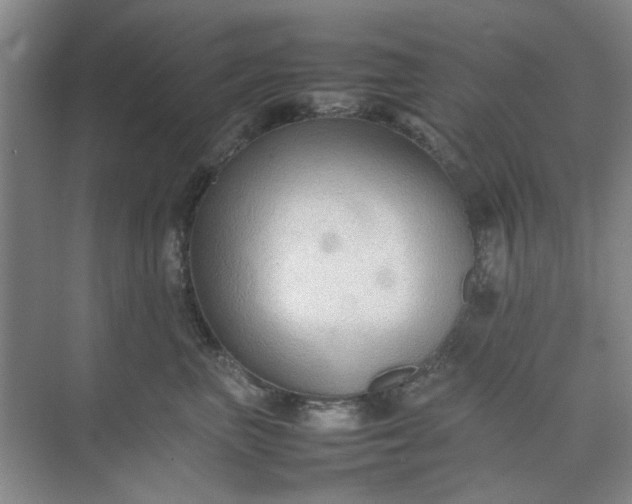 X0000074930667200609151940