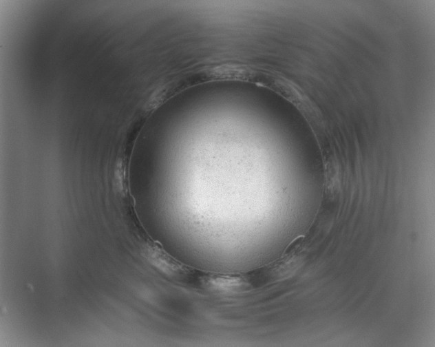 X0000074930669200609151940