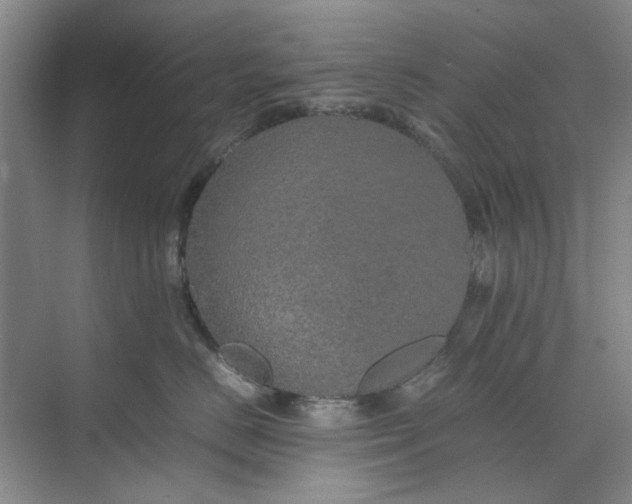 X0000074930670200609151940