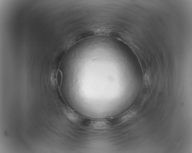 X0000074930671200609151940