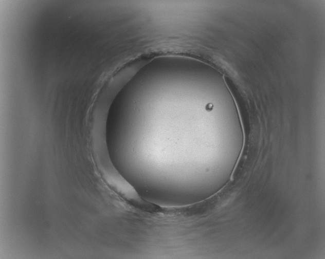 X0000074930673200609151939