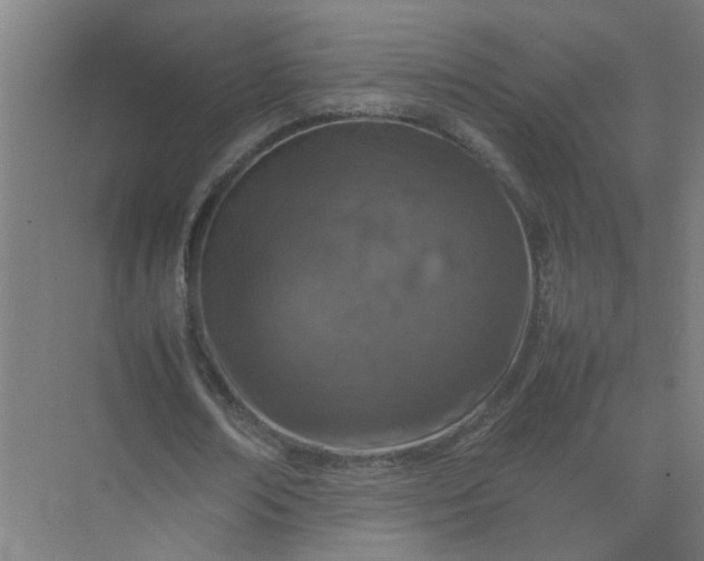 X0000074930674200609151939