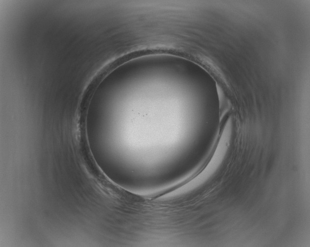 X0000074930676200609151939