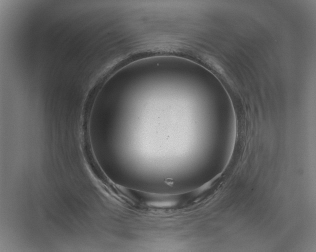 X0000074930677200609151939