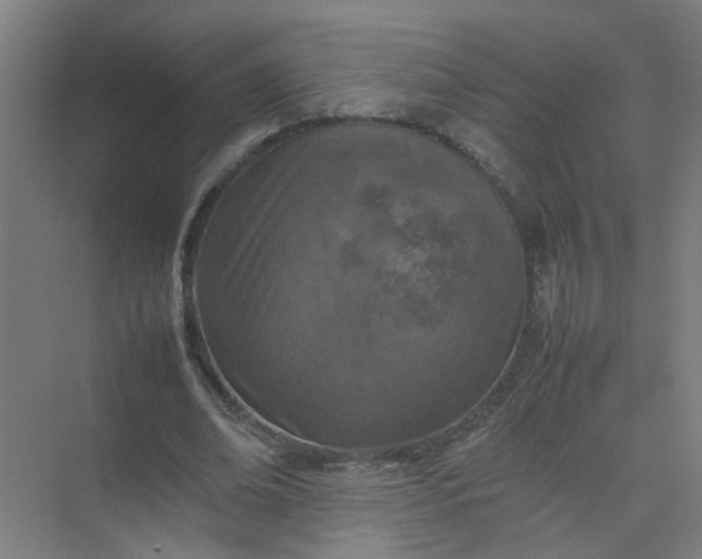 X0000074930678200609151939