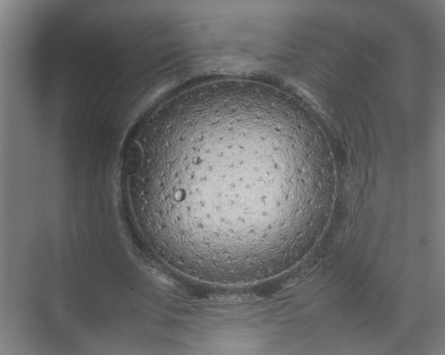 X0000074930679200609151939