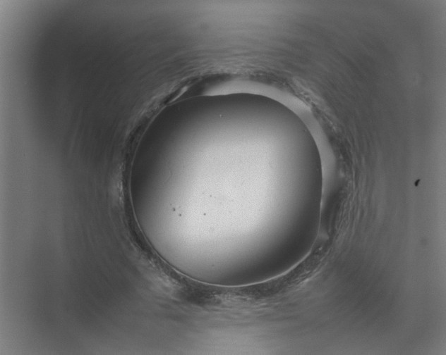 X0000074930681200609151939