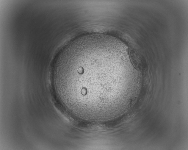 X0000074930683200609151939