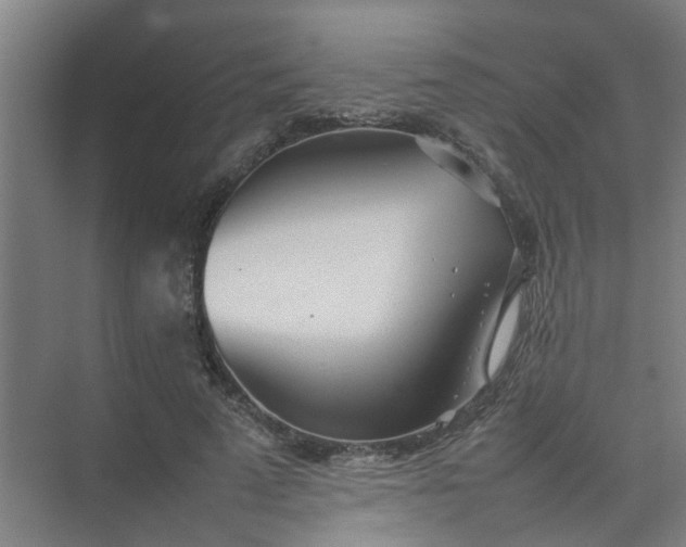 X0000074930689200609151939