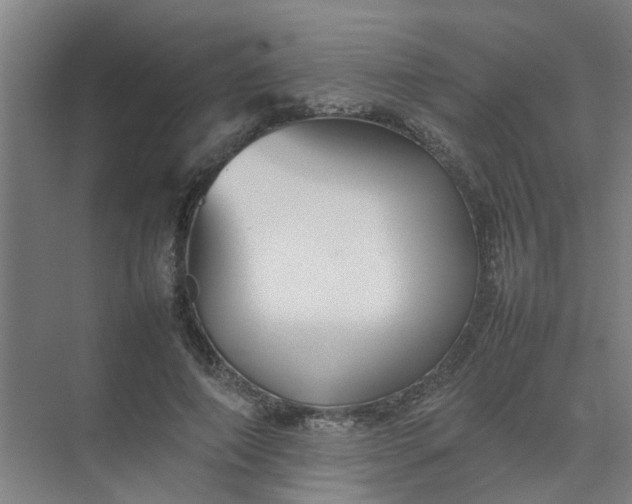 X0000074930690200609151939