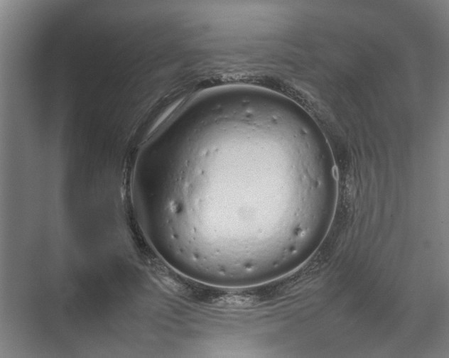 X0000074930691200609151939