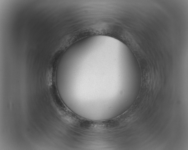 X0000074930694200609151939