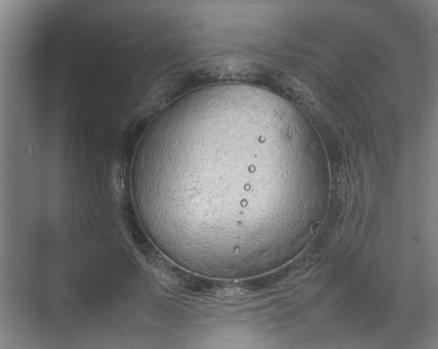 X0000074930695200609151939