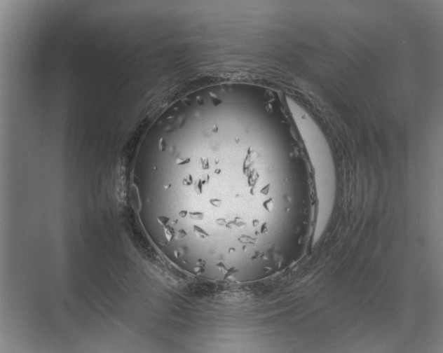 X0000074930696200609151939