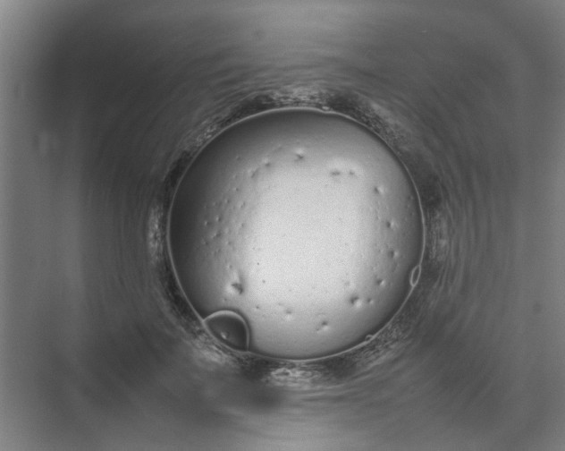 X0000074930699200609151939