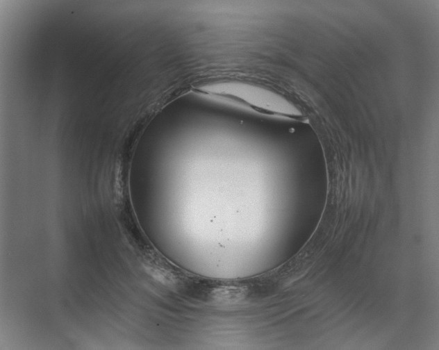 X0000074930700200609151939