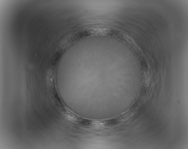 X0000074930701200609151939