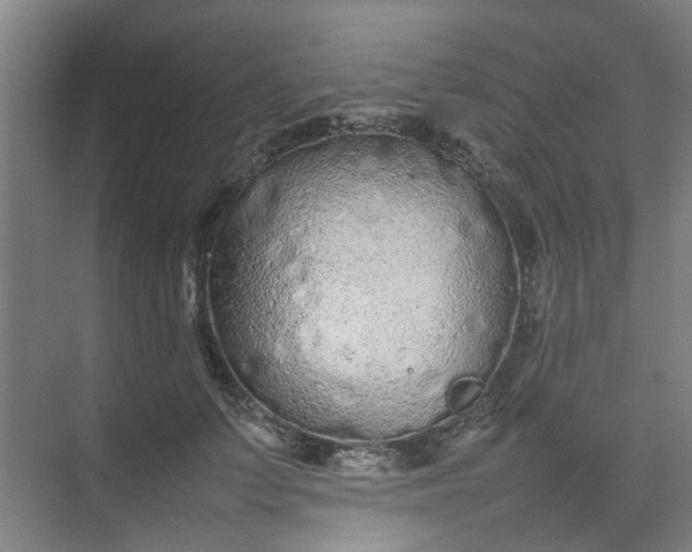 X0000074930703200609151939