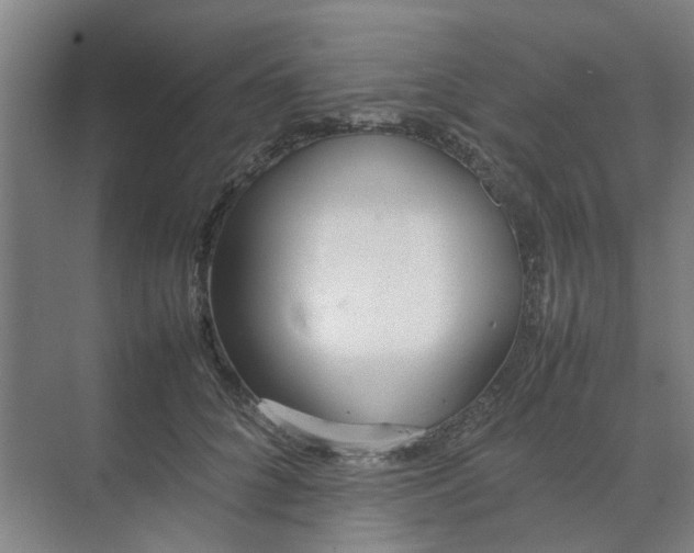 X0000074930704200609151939