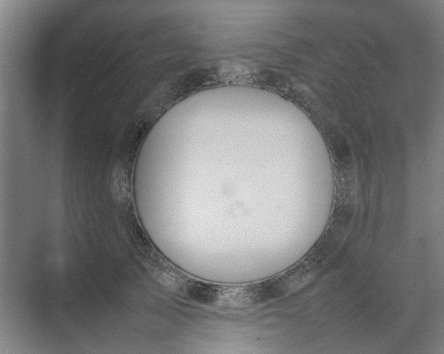 X0000074930705200609151939