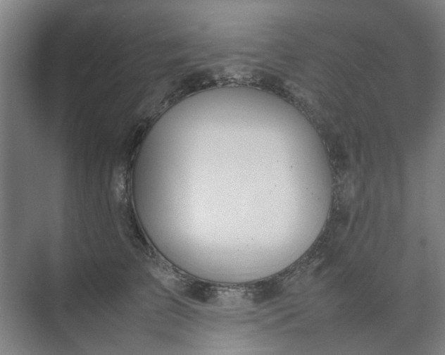 X0000074930709200609151939