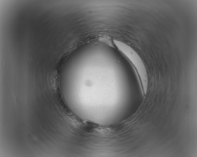 X0000074930712200609151939