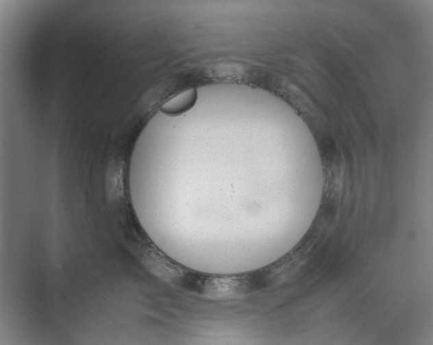 X0000074930717200609151939