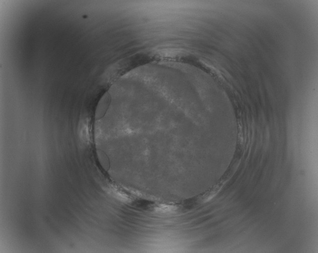 X0000074930718200609151939