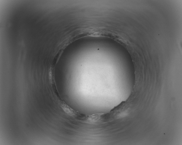 X0000074930720200609151939