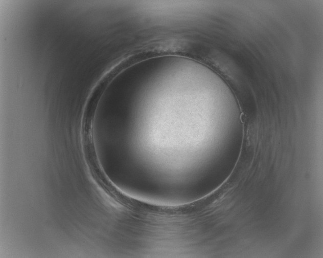 X0000074930722200609151938